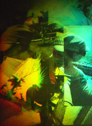Hologram by Martina Mrongovius | Up a Tree | animated vertical image from photomonatge