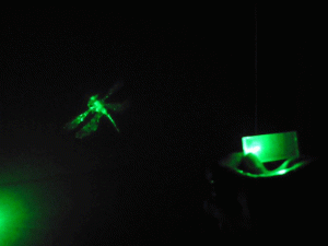 hoverHandproject_snip